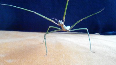 zvirata/img-20170224-115109.jpg