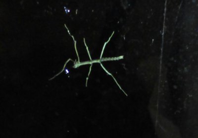 Img-20170306-140943-362